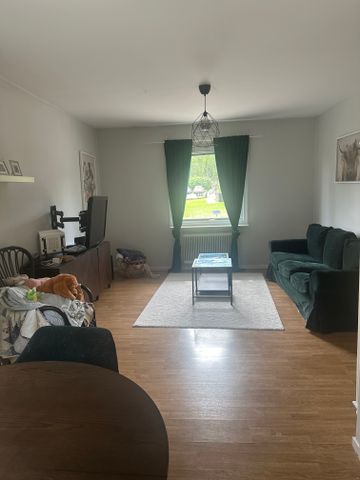 Göteborgsvägen, Uddevalla - Foto 2