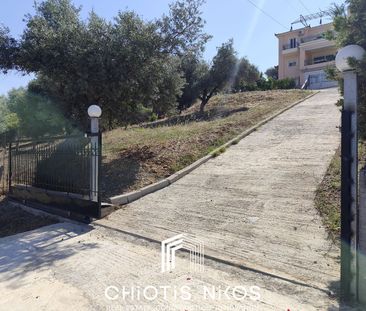 Μονοκατοικία για ενοικίαση Κουκάκι (Αμάρυνθος) - Photo 2