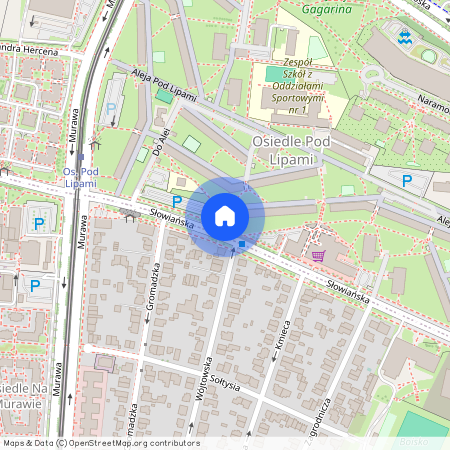 os. Pod Lipami 6, Winogrady, Stare Miasto, Poznań, wielkopolskie