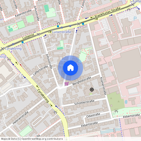 Frankfurter Str. 19, 38122, Braunschweig