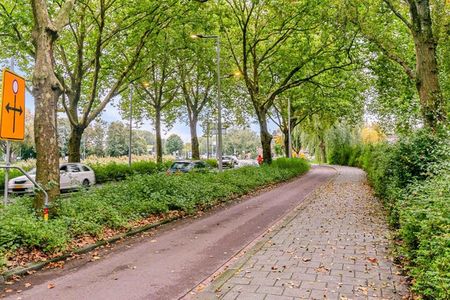 Te huur: Appartement Schapendreef in Rotterdam - Foto 3