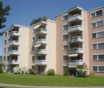 3.5 Zimmer, 76 m², 3. Stock - Photo 3
