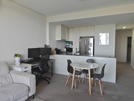 701/27 Dressler Court Merrylands - Photo 5