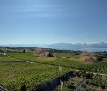 Joli appartement au coeur des vignes - Foto 5