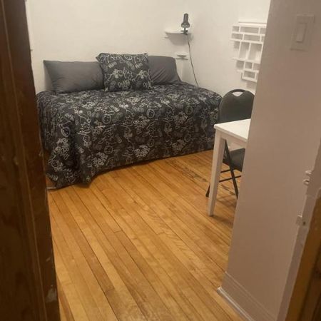 1 1/2 - Montréal (Le Plateau Mont-Royal) - 900 $/mois - Photo 3