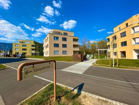 Modern with garden - Photo 3