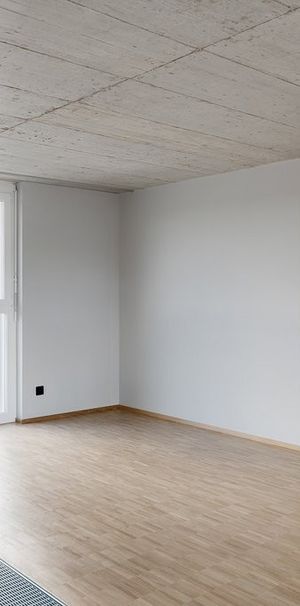 MIETEN OHNE KAUTION, Grosszügige Maisonette-Lofts im Industrie-Look - Photo 1