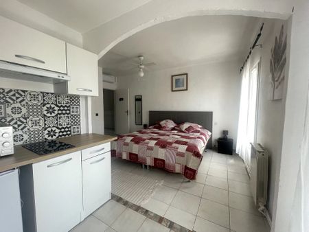 Location Appartement 1 pièces 35 m2 à Pézenas - Photo 3