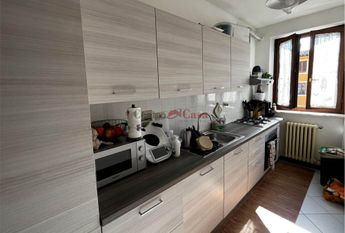 Grazioso tricolare in contesto di corte.