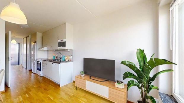 Maria stationsgata 41 - Photo 1