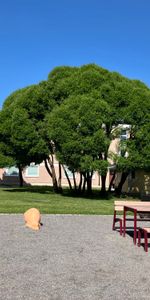 Almqvistgatan 32, 75430, Uppsala - Foto 4