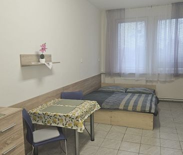 Pronájem bytu 1+kk 40 m² - Photo 1