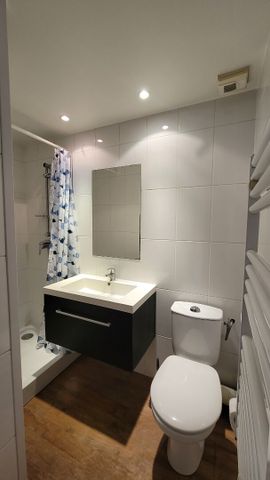 Location Appartement 1 pièce 17m² - Photo 2