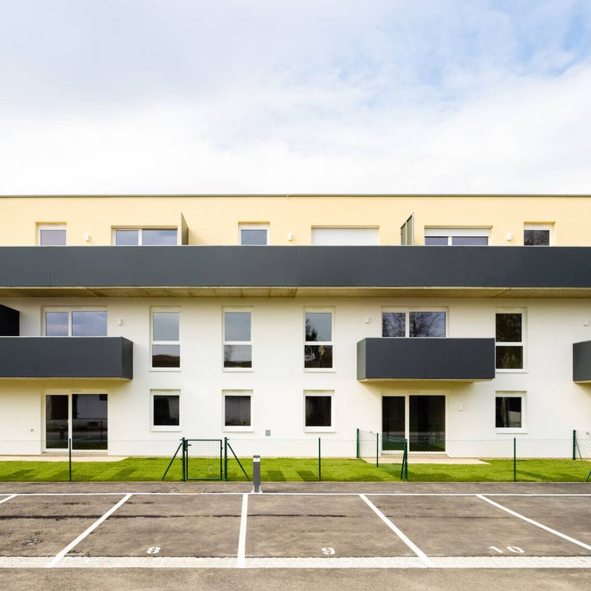 Helle 4-Zimmerwohnung mit Südbalkon - Photo 1