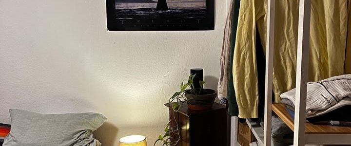 *Befristet* WG- Zimmer mit Balkon in Mainzer Innenstadt in 3er WG - Photo 1