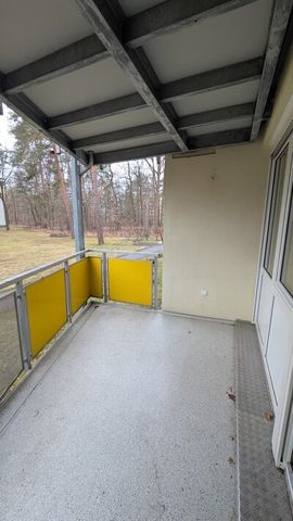 3 Zimmer im Grünen! Erdgeschosswohnung mit perfekter Raumaufteilung ab 15.03.26!! - Photo 5