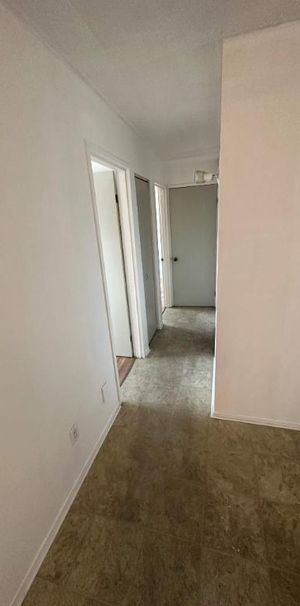 GRAND ET LUMINEUX 4.5 DISPONIBLE 15 NOVEMBRE - Photo 1