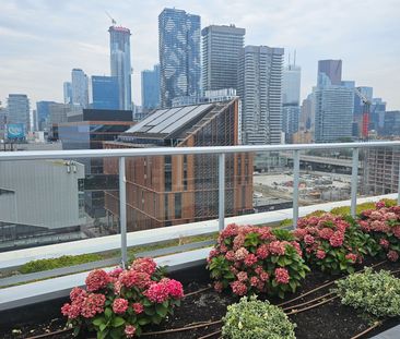 For Lease - 15 Merchant's Wharf N/A Unit# 244, Toronto, Ontario - Photo 6