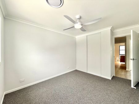 Stylish New Build in Sought-After Taree West - Photo 5