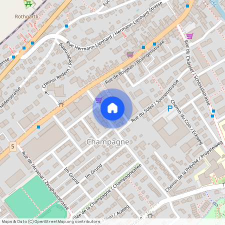 Chemin Vert 13, 2504 Biel / Bienne