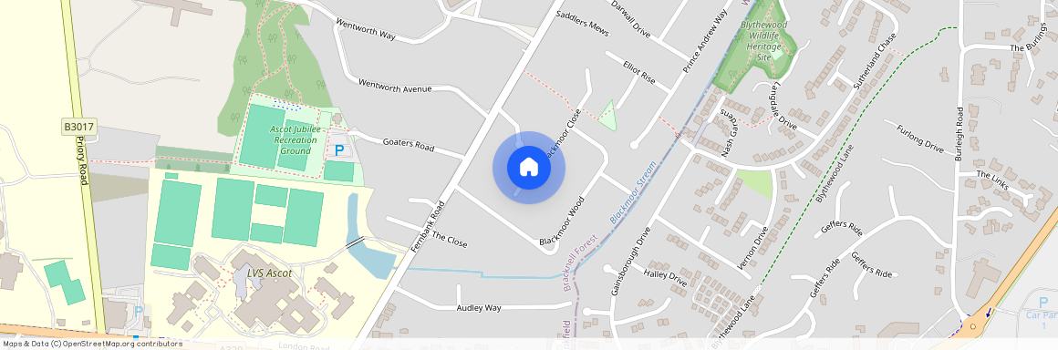 Blackmoor Wood, Ascot, Berkshire