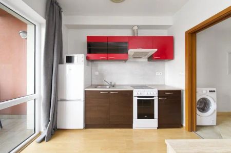 Byt 1+kk s balkonem a parkovacím stáním, 30 m - Fotografie 3