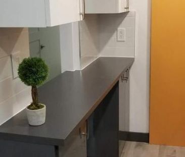 GHETTO MCGILL- 3 ½ RÉNOVÉ & MEUBLÉ – 1 CHAMBRE FERMÉE - Photo 4