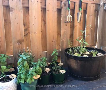 For Lease - 92 Mitchell Avenue Unit# Lower, Toronto, Ontario - Photo 6