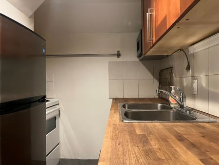 For Lease - 383 Lansdowne Avenue Unit# Bsmt, Toronto, Ontario - Photo 5