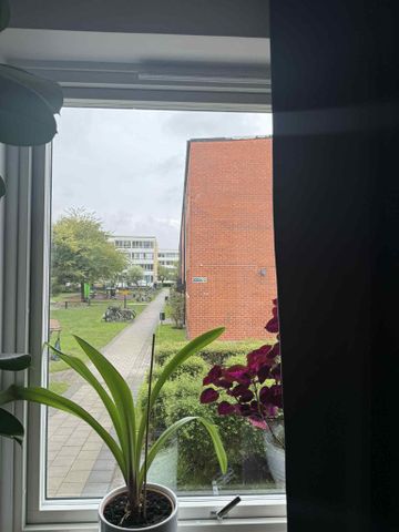 Professorsgatan, Malmö - Foto 4