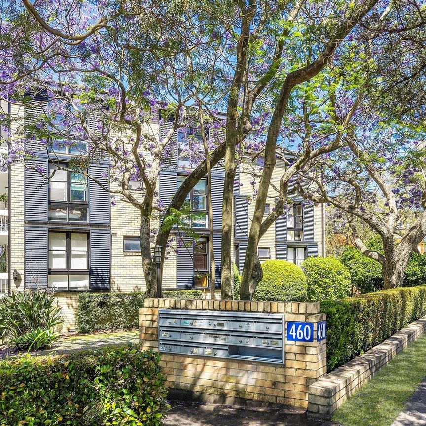 6/460 Pacific Highway, Lindfield NSW 2070 - Apartment For Rent | Domain - Photo 1