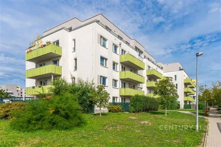 Prostorný a světlý byt 2+kk s garážovým stáním a skvělým zázemím – k nastěhování od 1. 11. 2026 - Photo 5