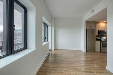 30 Saint-Joseph Est - Photo 2