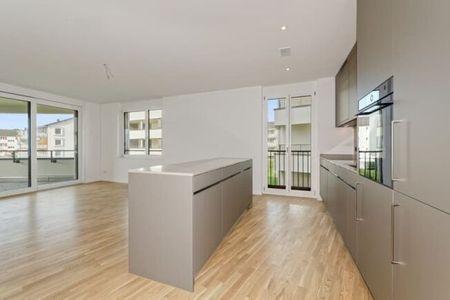 Newly built apartment in a fantastic location directly on the lake in Rapperswil-Jona - Photo 3