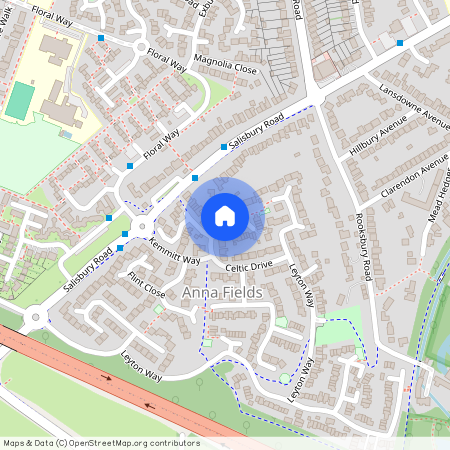 Celtic Drive, Hampshire SP10