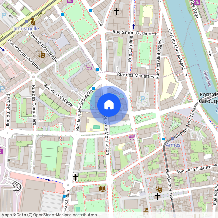 1227, Carouge GE, rue des Pervenches, 6