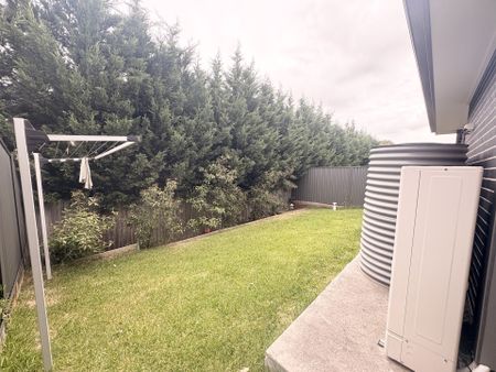 Modern Family Living in the Heart of Austral - Photo 3