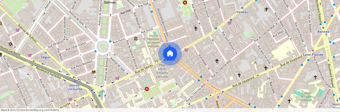 Rue de Sèvres et Rue Mayet 75007 Paris (7e arrondissement)