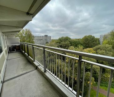 Schipmolen 59, Molenwijk, 1035CH, Amsterdam - Photo 5