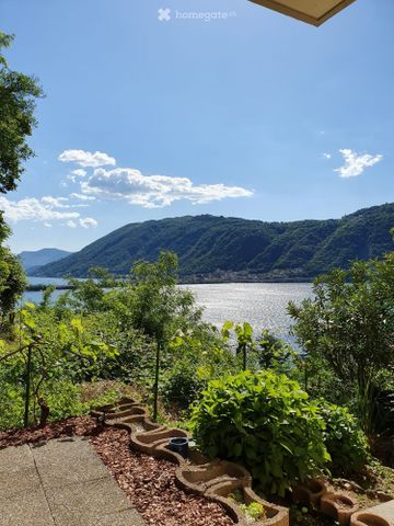 2.5 Zimmer, 48 m² - Photo 5