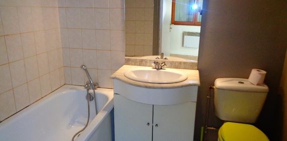 Location Appartement 1 pièce 20m² LILLE 59000 - Photo 2