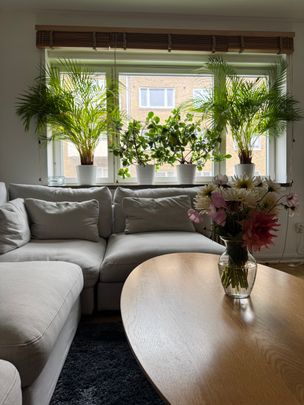 Uppsalagatan, Malmö - Foto 1