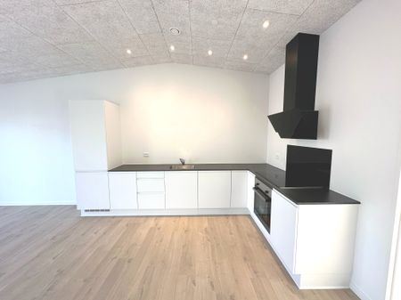 Kolbæk parken - Foto 5