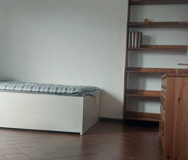 mazowieckie, Warszawa, Śródmieście, Śródmieście Północne, Niska - Zdjęcie 4