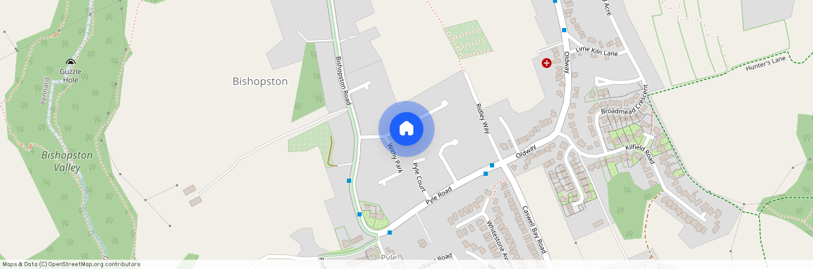 Withy Park, Bishopston, Swansea, SA3