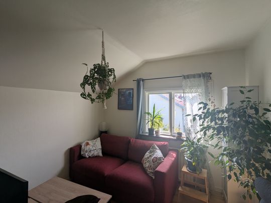 Hackspettsgatan, Göteborg - Foto 1