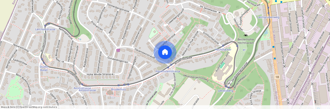 Hauensteinstrasse 133, 4059 Basel, Lageplan