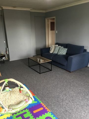 Cute Two Bedroom Apartment on Grange Road - Otumoetai - Photo 2