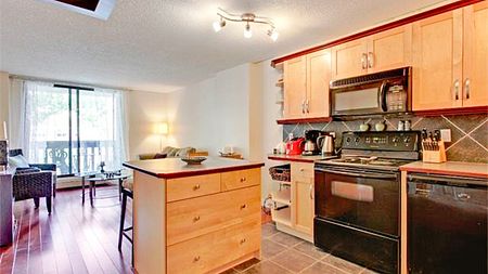 1 Bedroom Condo For Rent In Mission: Pet Friendly. - Photo 5