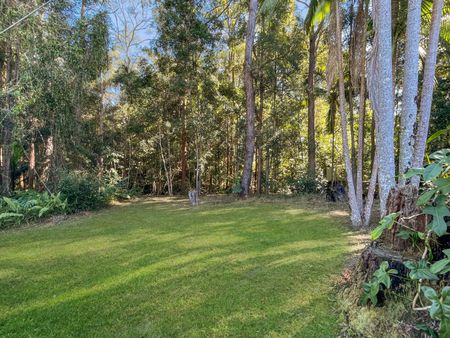 212B Tanawha Tourist Drive, 4556, Tanawha Qld - Photo 5